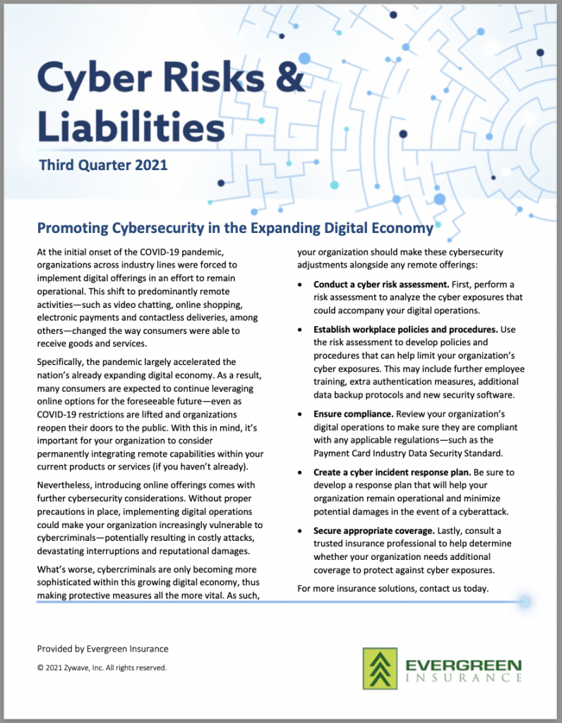 Cyber Risks and Liabilities newsletter pdf file