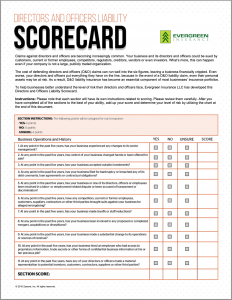 image of Directors and Officers Liability Scorecard PDF click image to load and read PDF